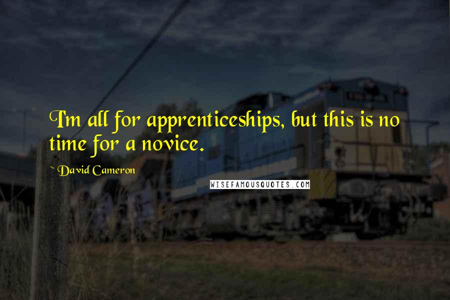 David Cameron Quotes: I'm all for apprenticeships, but this is no time for a novice.