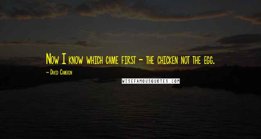 David Cameron Quotes: Now I know which came first - the chicken not the egg.