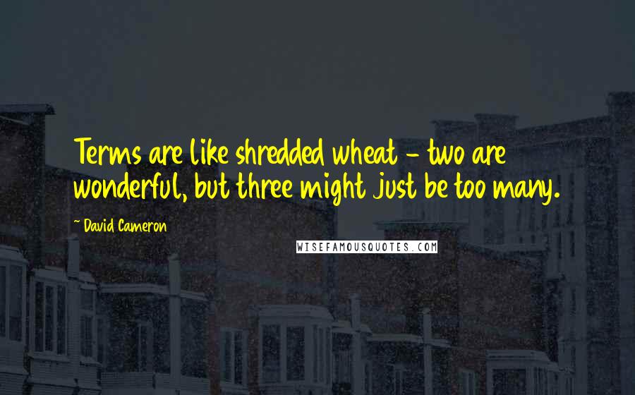 David Cameron Quotes: Terms are like shredded wheat - two are wonderful, but three might just be too many.