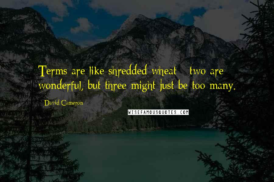 David Cameron Quotes: Terms are like shredded wheat - two are wonderful, but three might just be too many.