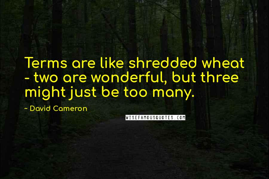 David Cameron Quotes: Terms are like shredded wheat - two are wonderful, but three might just be too many.