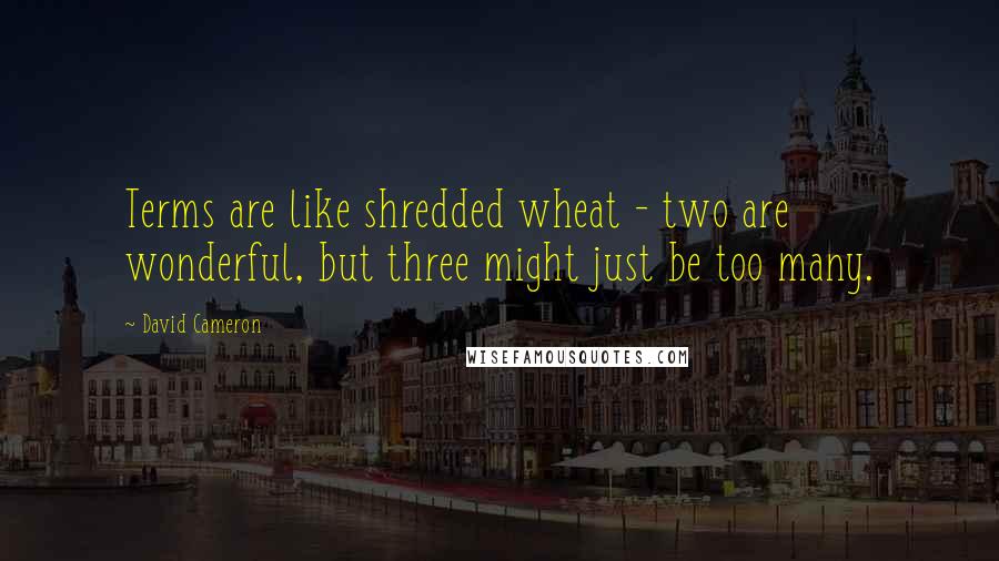 David Cameron Quotes: Terms are like shredded wheat - two are wonderful, but three might just be too many.