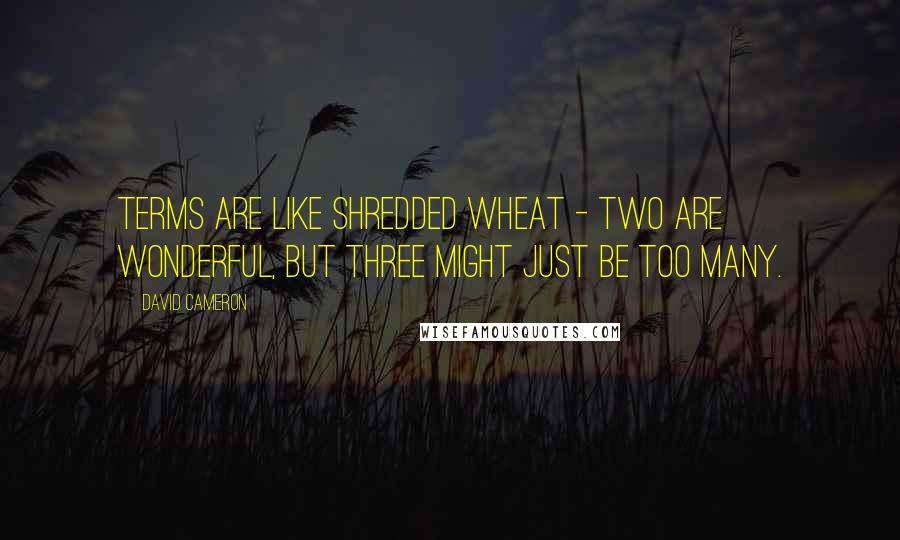 David Cameron Quotes: Terms are like shredded wheat - two are wonderful, but three might just be too many.
