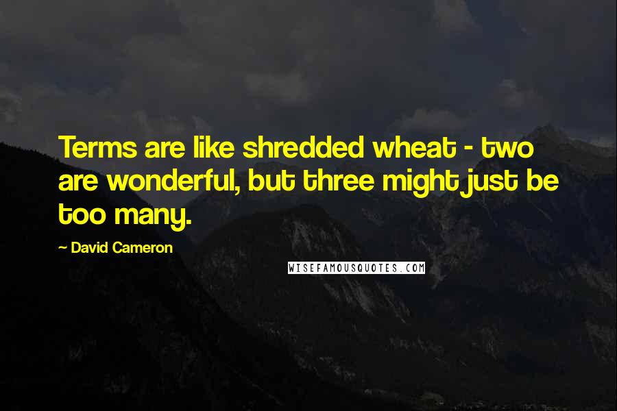 David Cameron Quotes: Terms are like shredded wheat - two are wonderful, but three might just be too many.