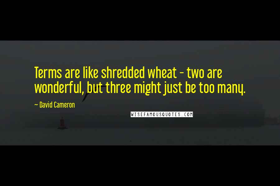 David Cameron Quotes: Terms are like shredded wheat - two are wonderful, but three might just be too many.