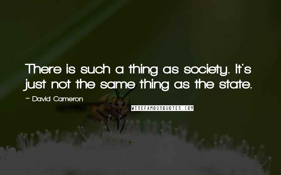 David Cameron Quotes: There is such a thing as society. It's just not the same thing as the state.