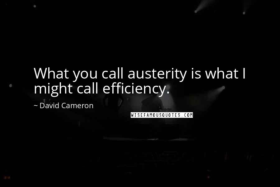 David Cameron Quotes: What you call austerity is what I might call efficiency.