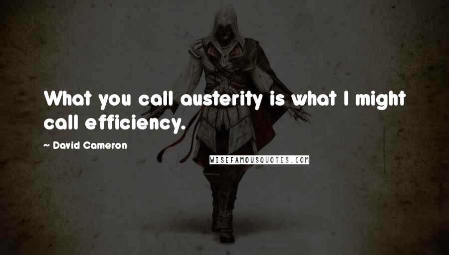 David Cameron Quotes: What you call austerity is what I might call efficiency.