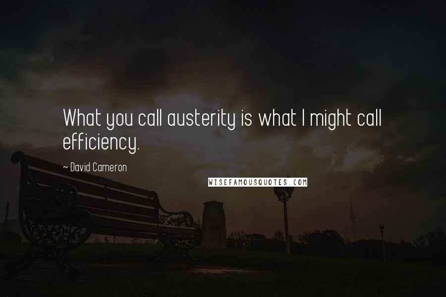 David Cameron Quotes: What you call austerity is what I might call efficiency.
