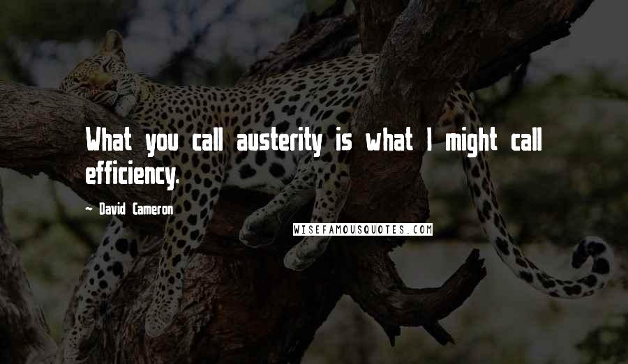 David Cameron Quotes: What you call austerity is what I might call efficiency.