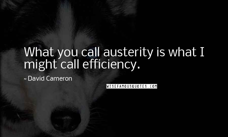 David Cameron Quotes: What you call austerity is what I might call efficiency.