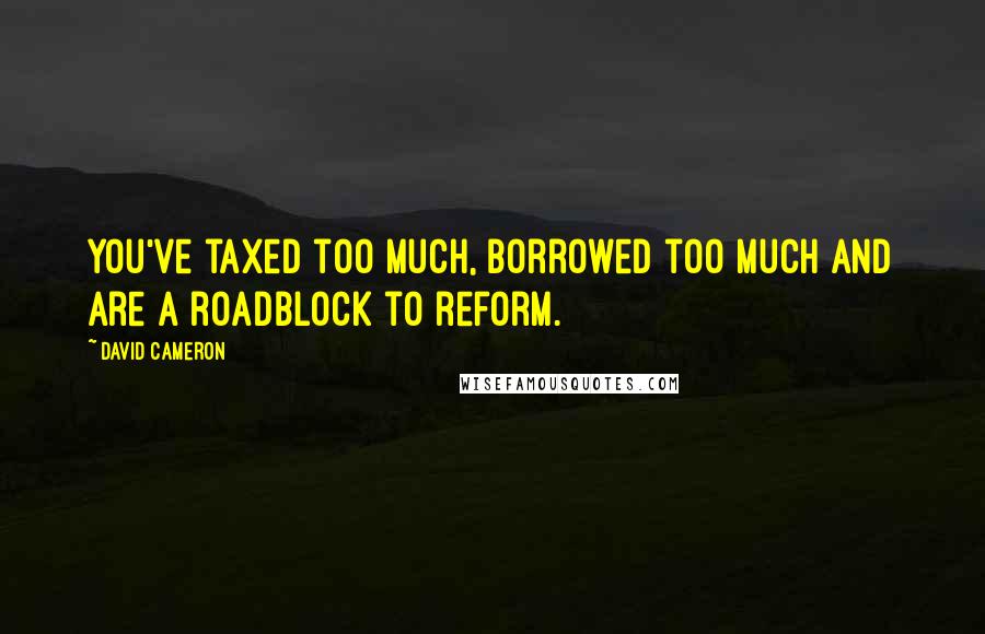 David Cameron Quotes: You've taxed too much, borrowed too much and are a roadblock to reform.