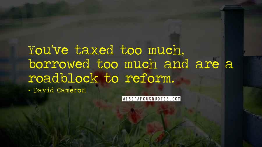 David Cameron Quotes: You've taxed too much, borrowed too much and are a roadblock to reform.