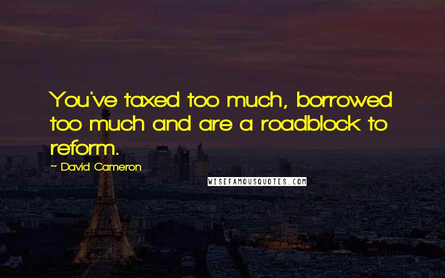 David Cameron Quotes: You've taxed too much, borrowed too much and are a roadblock to reform.