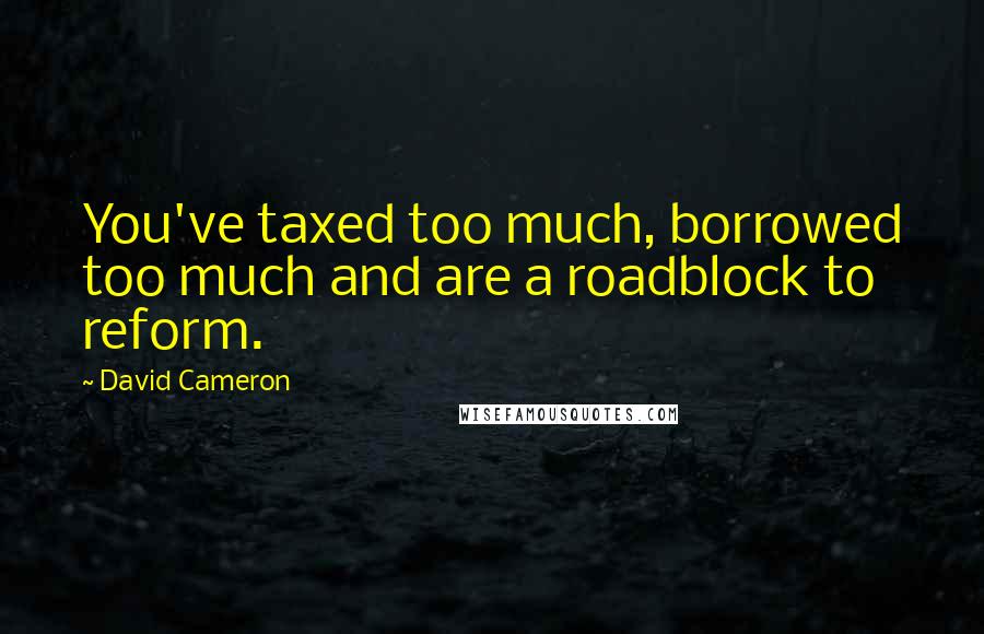 David Cameron Quotes: You've taxed too much, borrowed too much and are a roadblock to reform.