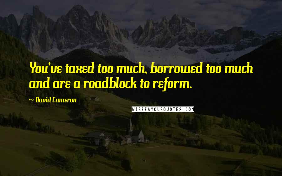 David Cameron Quotes: You've taxed too much, borrowed too much and are a roadblock to reform.