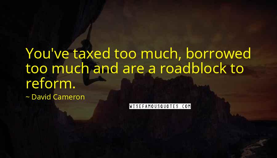 David Cameron Quotes: You've taxed too much, borrowed too much and are a roadblock to reform.