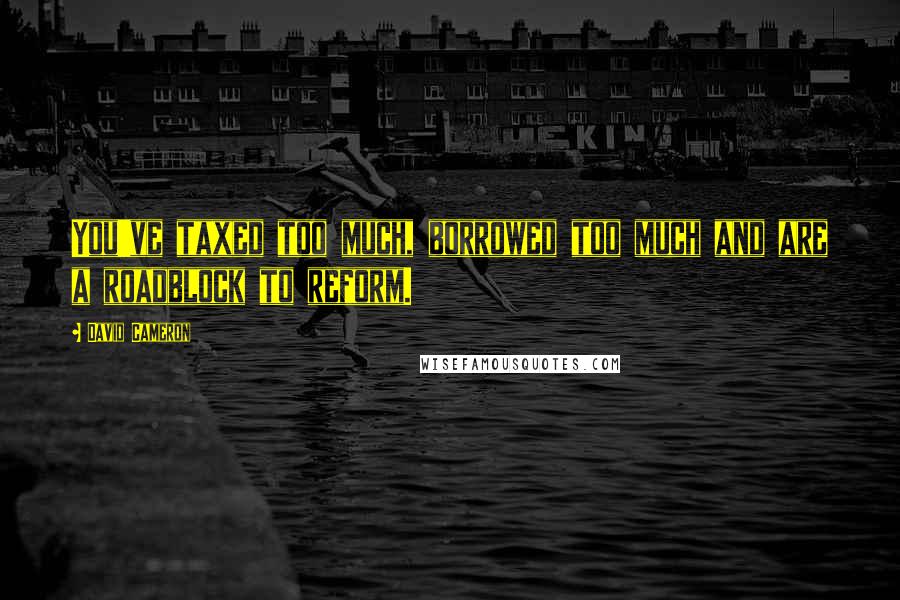 David Cameron Quotes: You've taxed too much, borrowed too much and are a roadblock to reform.