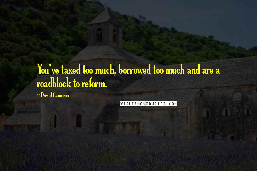 David Cameron Quotes: You've taxed too much, borrowed too much and are a roadblock to reform.
