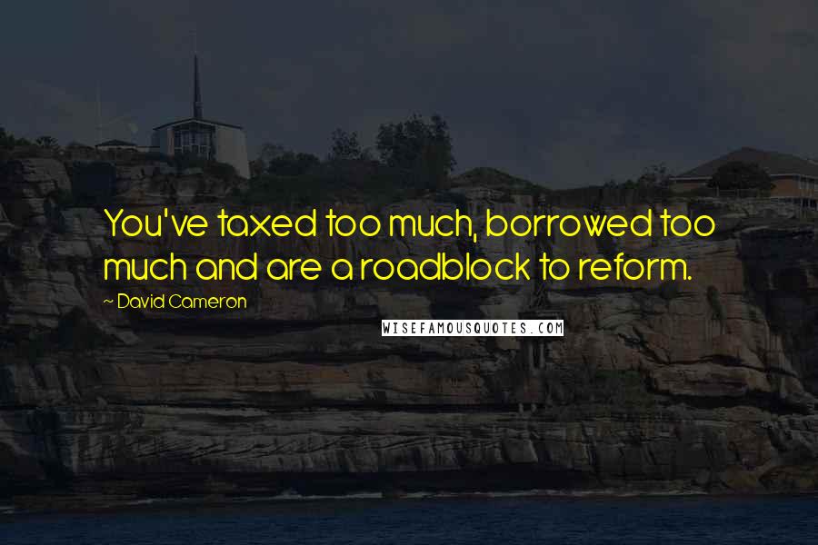 David Cameron Quotes: You've taxed too much, borrowed too much and are a roadblock to reform.