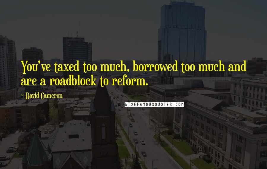 David Cameron Quotes: You've taxed too much, borrowed too much and are a roadblock to reform.