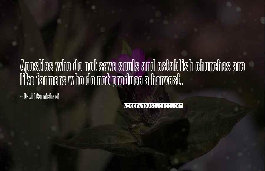 David Cannistraci Quotes: Apostles who do not save souls and establish churches are like farmers who do not produce a harvest.