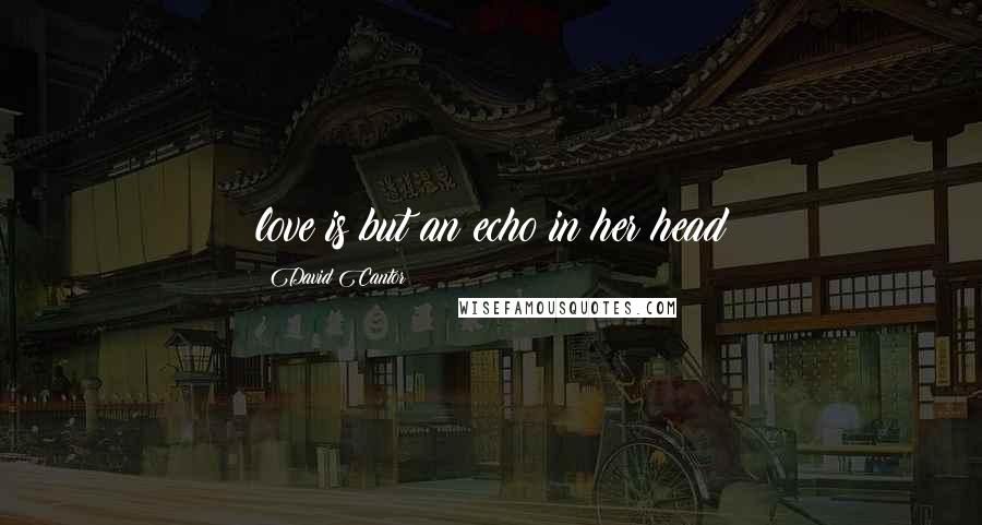 David Cantor Quotes: love is but an echo in her head