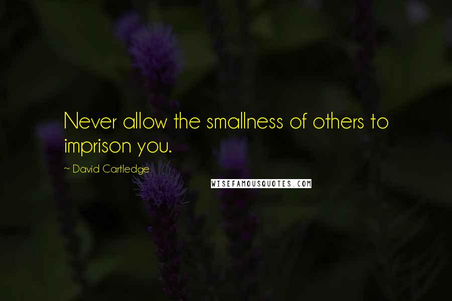 David Cartledge Quotes: Never allow the smallness of others to imprison you.