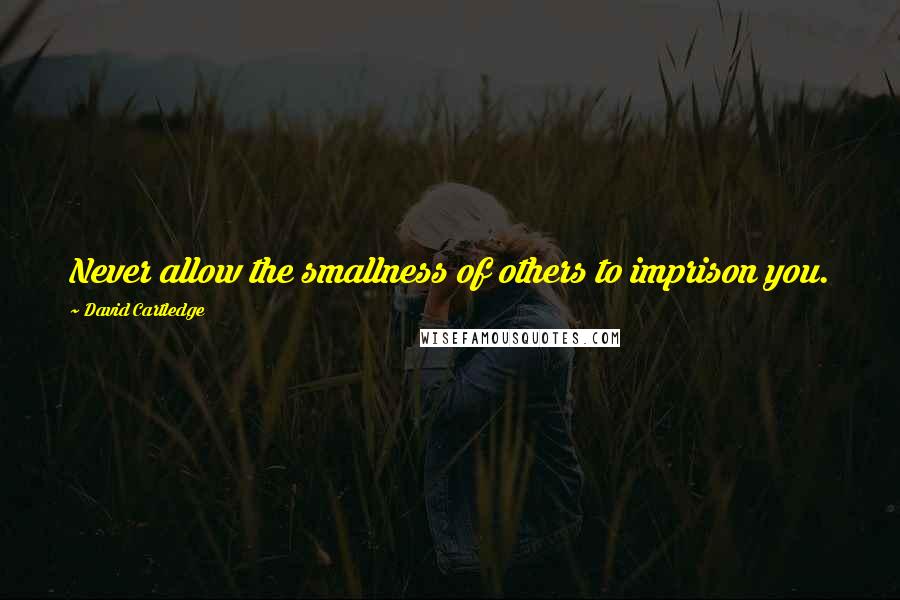 David Cartledge Quotes: Never allow the smallness of others to imprison you.