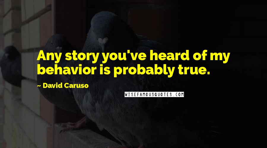 David Caruso Quotes: Any story you've heard of my behavior is probably true.