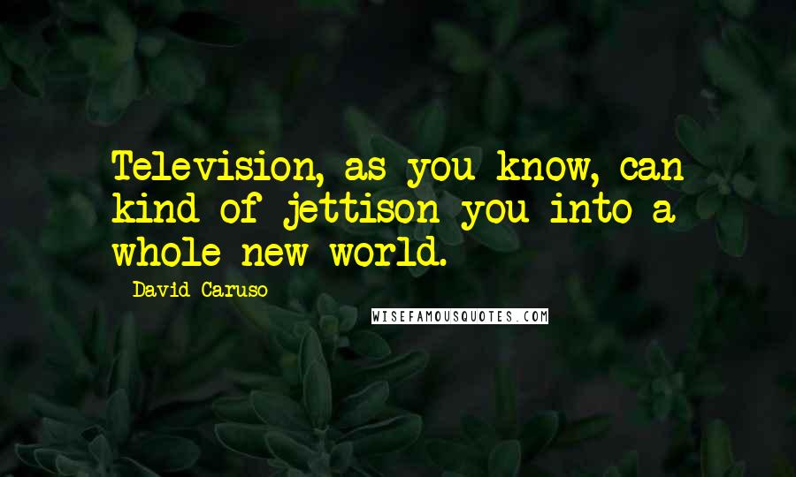 David Caruso Quotes: Television, as you know, can kind of jettison you into a whole new world.
