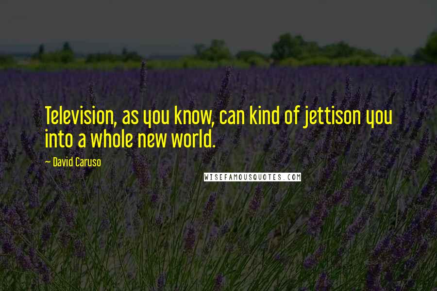 David Caruso Quotes: Television, as you know, can kind of jettison you into a whole new world.