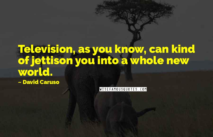 David Caruso Quotes: Television, as you know, can kind of jettison you into a whole new world.