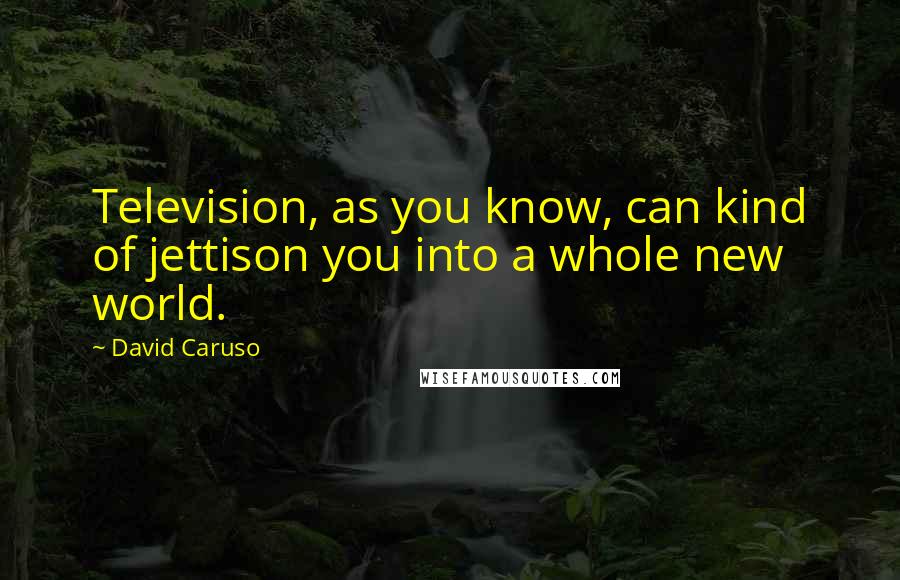 David Caruso Quotes: Television, as you know, can kind of jettison you into a whole new world.