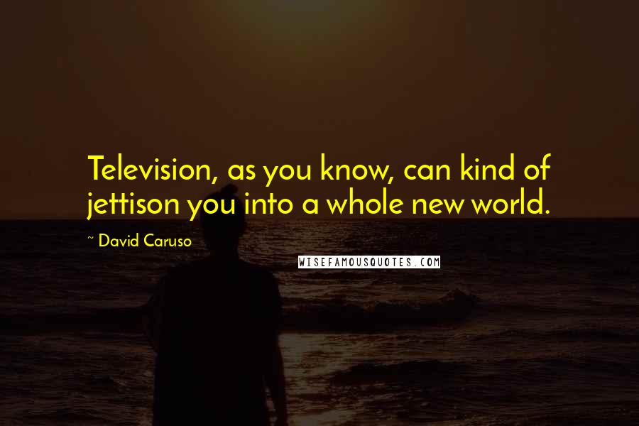 David Caruso Quotes: Television, as you know, can kind of jettison you into a whole new world.
