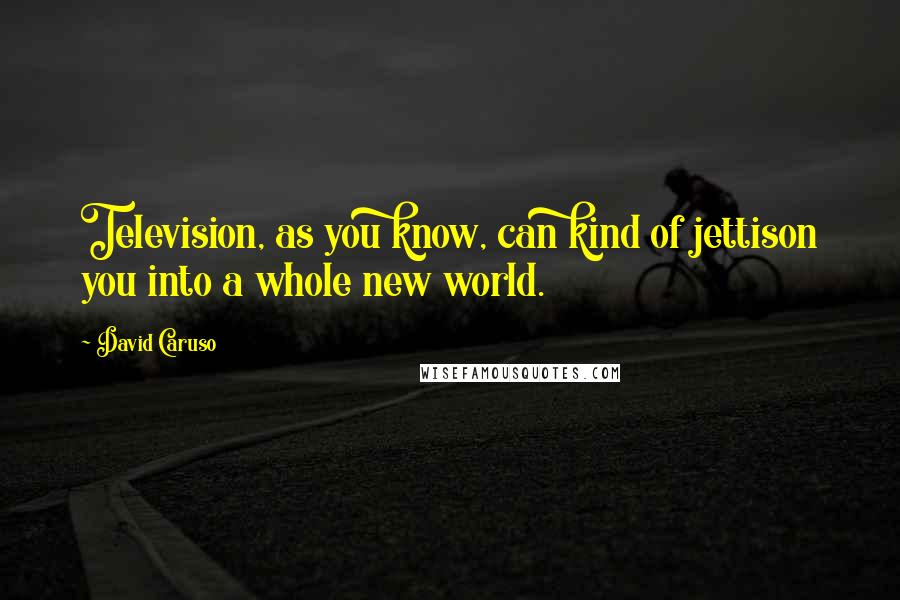 David Caruso Quotes: Television, as you know, can kind of jettison you into a whole new world.
