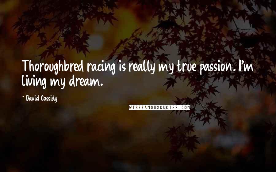 David Cassidy Quotes: Thoroughbred racing is really my true passion. I'm living my dream.
