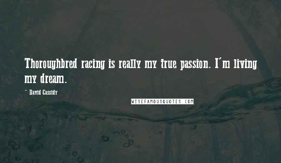 David Cassidy Quotes: Thoroughbred racing is really my true passion. I'm living my dream.