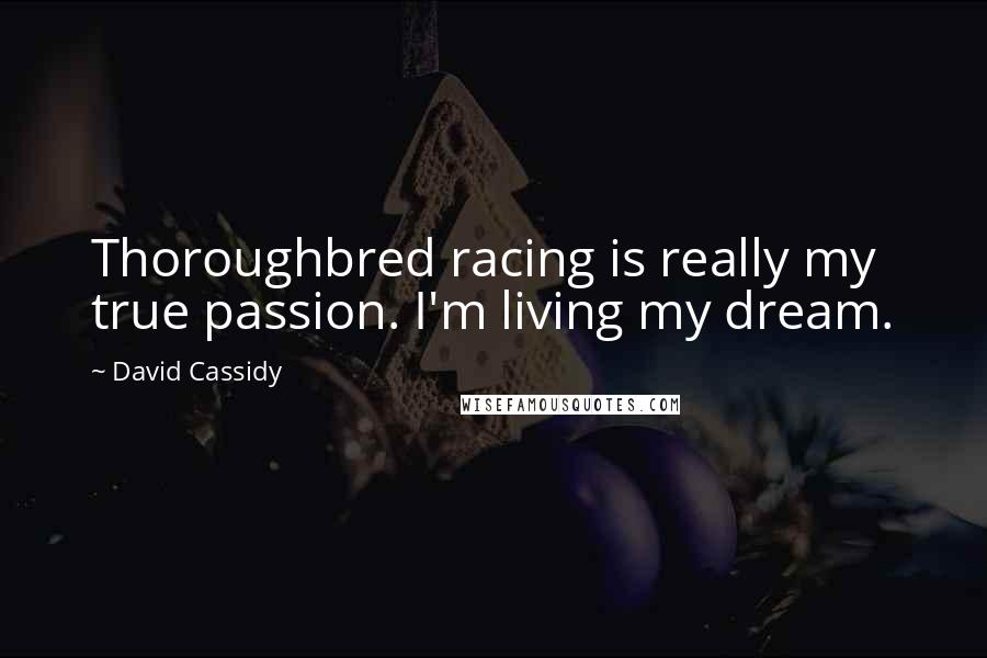 David Cassidy Quotes: Thoroughbred racing is really my true passion. I'm living my dream.