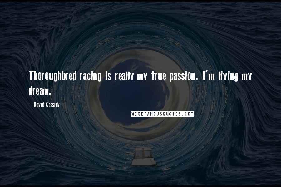 David Cassidy Quotes: Thoroughbred racing is really my true passion. I'm living my dream.