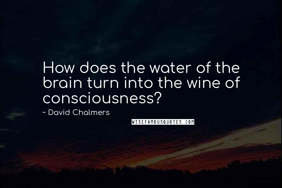 David Chalmers Quotes: How does the water of the brain turn into the wine of consciousness?