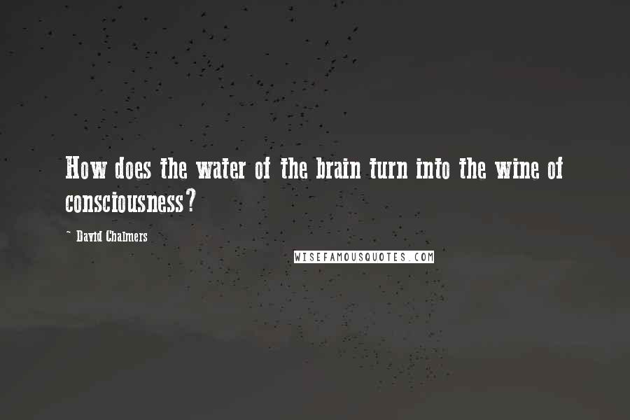 David Chalmers Quotes: How does the water of the brain turn into the wine of consciousness?
