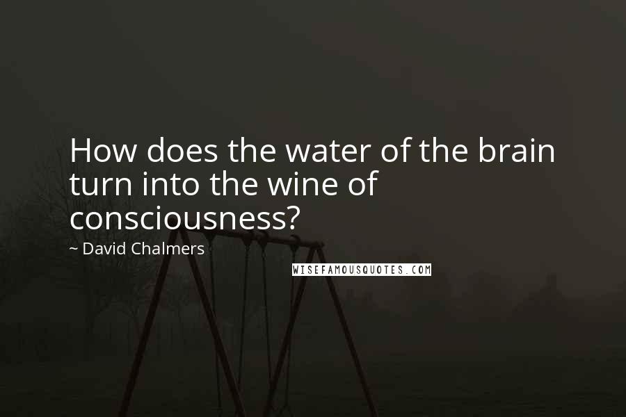 David Chalmers Quotes: How does the water of the brain turn into the wine of consciousness?