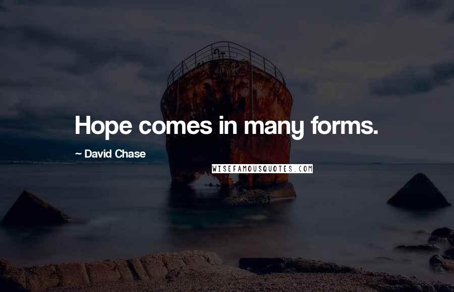 David Chase Quotes: Hope comes in many forms.