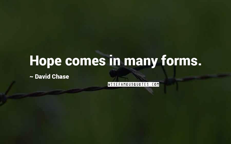 David Chase Quotes: Hope comes in many forms.