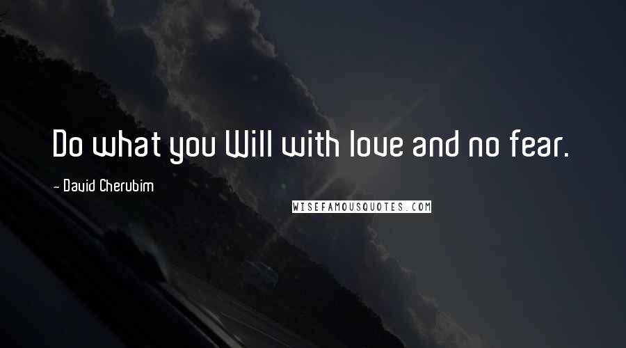 David Cherubim Quotes: Do what you Will with love and no fear.