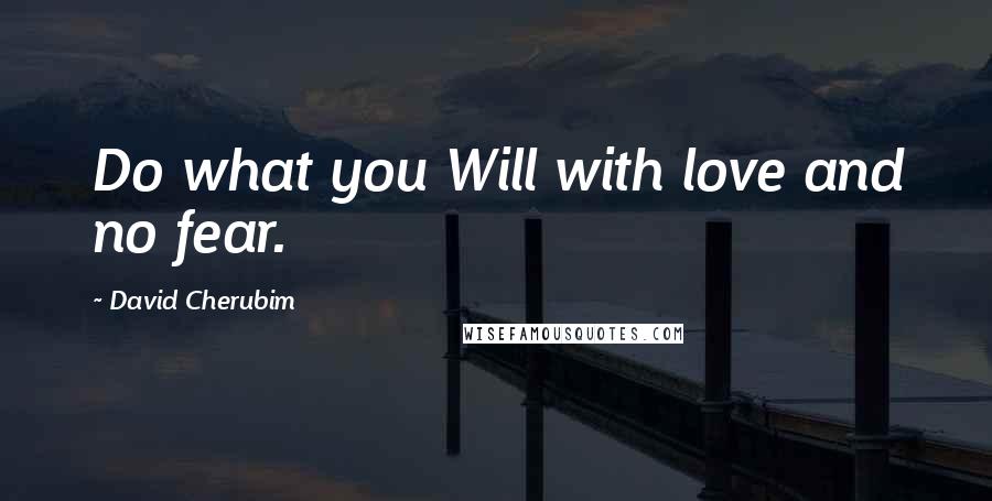 David Cherubim Quotes: Do what you Will with love and no fear.