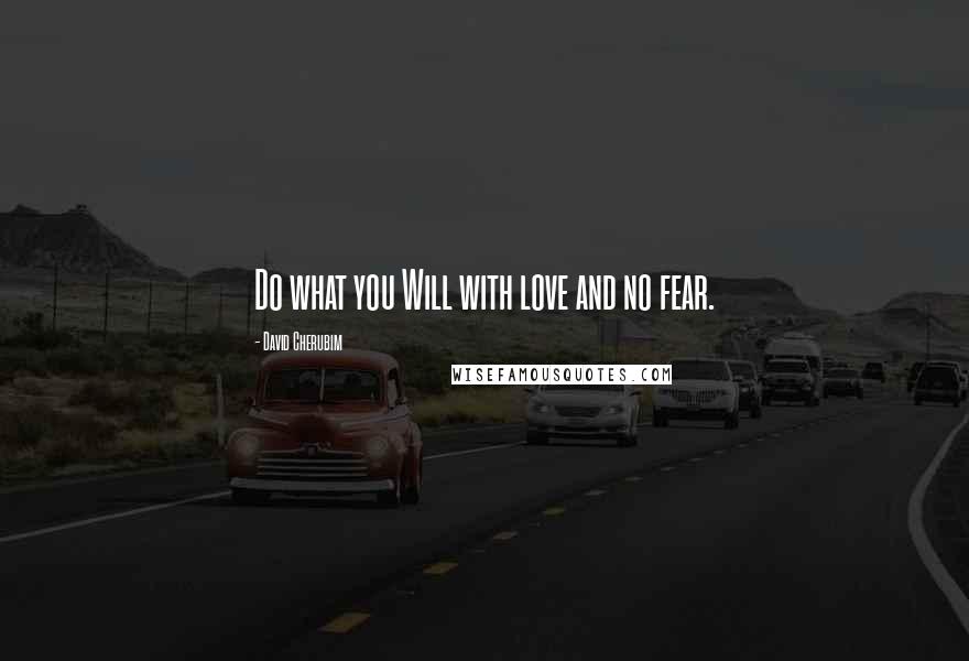 David Cherubim Quotes: Do what you Will with love and no fear.