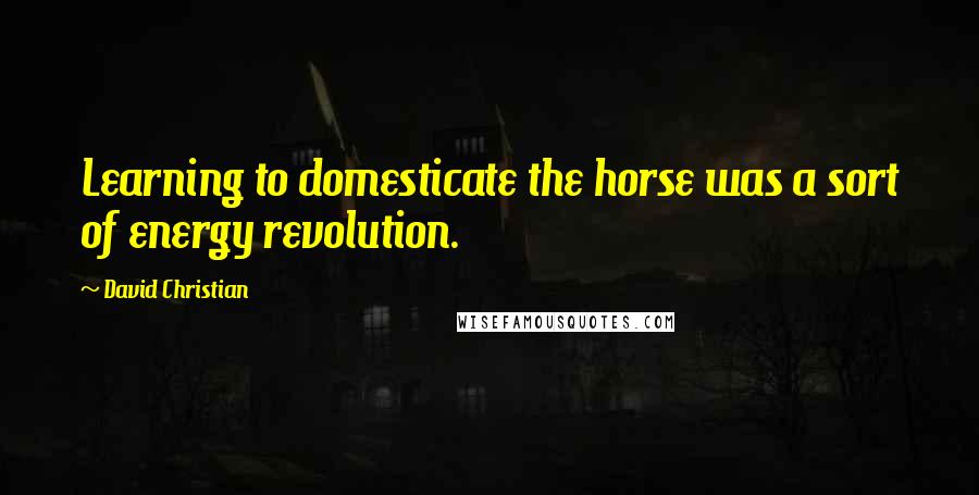 David Christian Quotes: Learning to domesticate the horse was a sort of energy revolution.