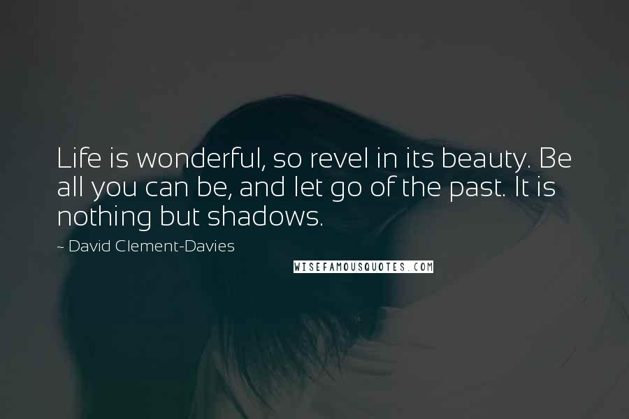 David Clement-Davies Quotes: Life is wonderful, so revel in its beauty. Be all you can be, and let go of the past. It is nothing but shadows.